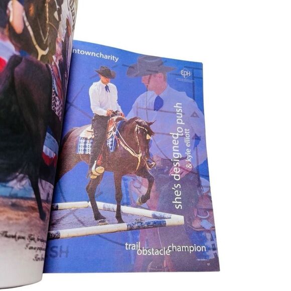 The Walking Horse Report -June 19, 2023 Walking for Cancer Grand Champ - Picture 6 of 8